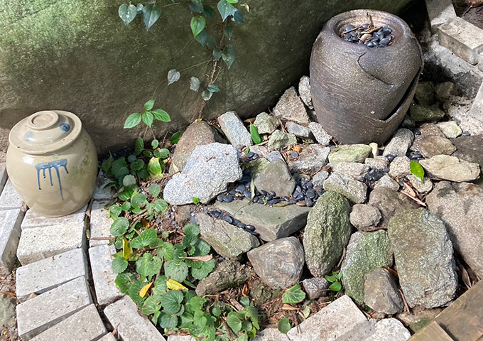 信楽焼と小庭
