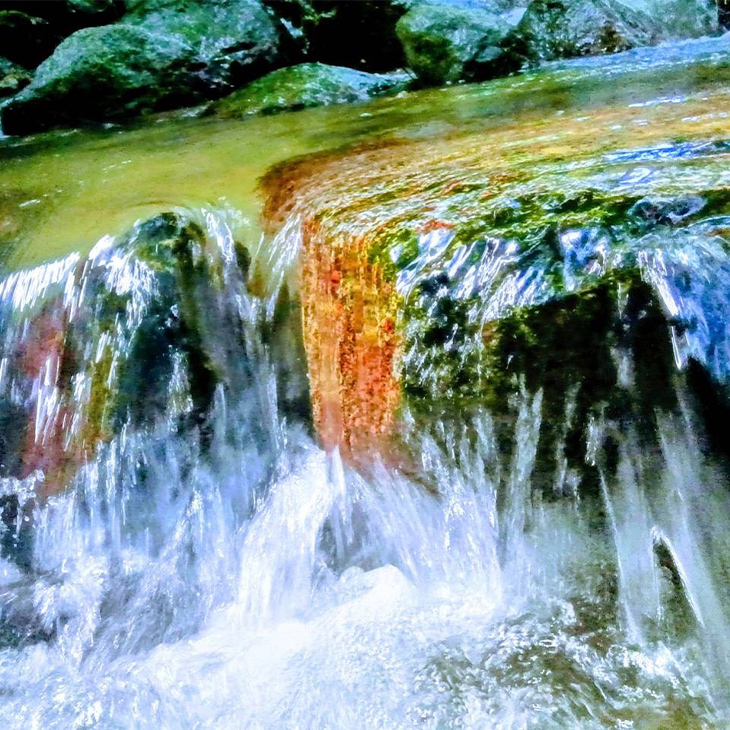 自然の中に時計がある写真