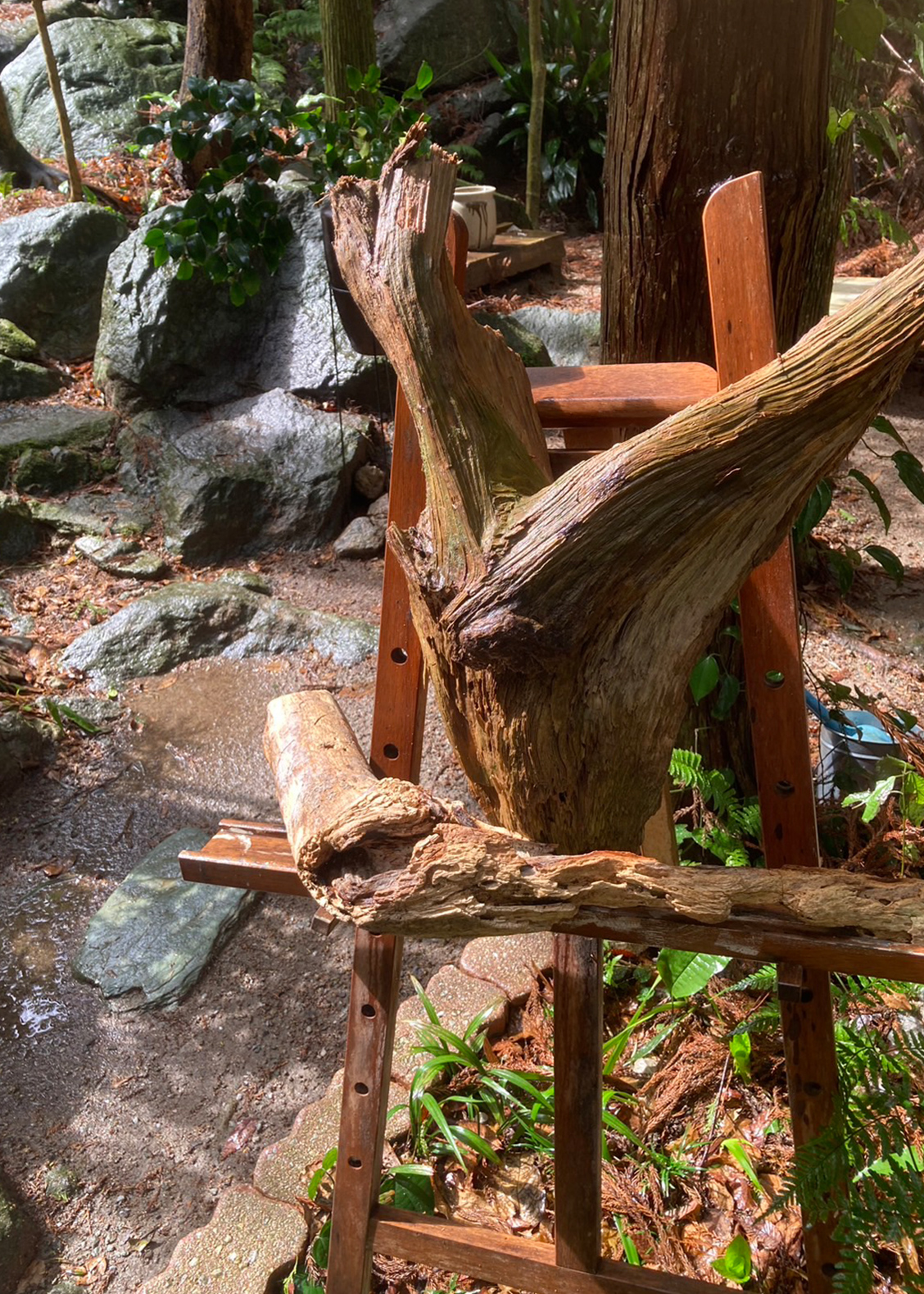 BENギャラリー画像