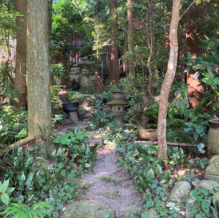 外観までの道のりの写真