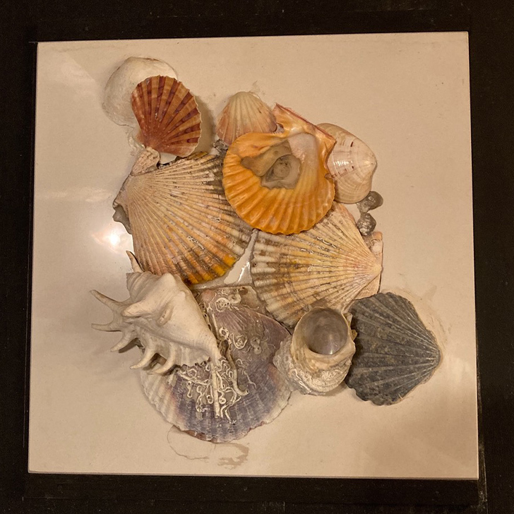 貝殻のオブジェ