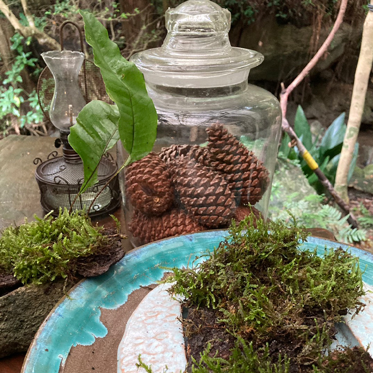 松ぼっくりが瓶に入っているオブジェ