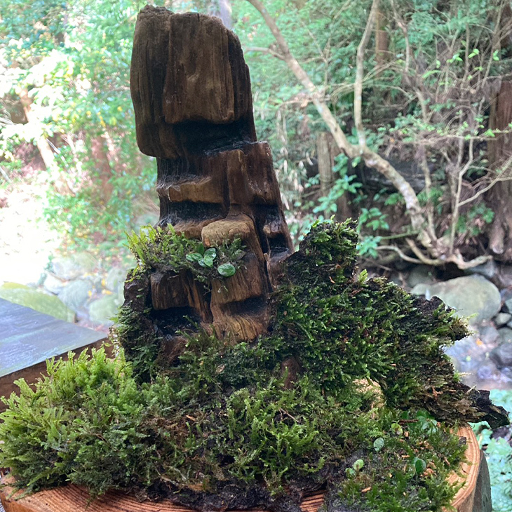 苔と石のオブジェ